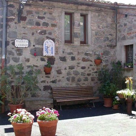 Casa Del Ciliegio Vila Radicofani Exterior foto