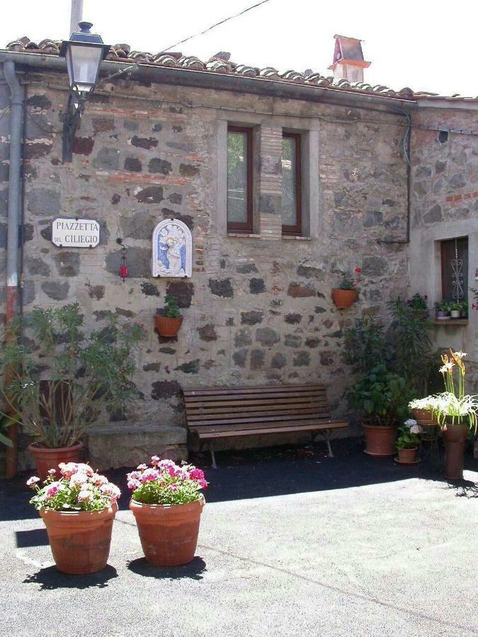 Casa Del Ciliegio Vila Radicofani Exterior foto